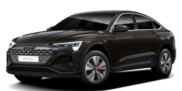 Audi Q8 E-Tron Sport 50 Quattro Business Advanced