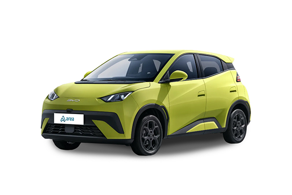BYD DOLPHIN SURF 30Kw Active
